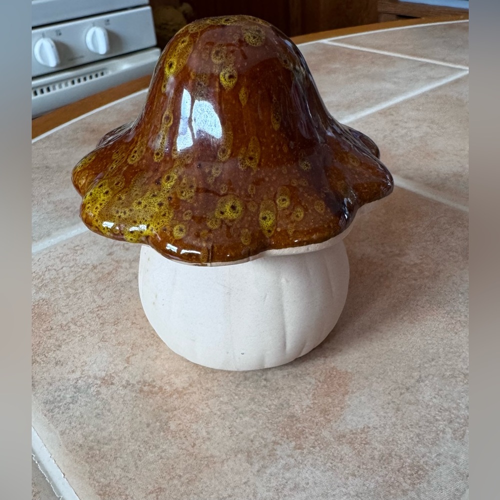 Mushroom Figurine 🍄‍🟫